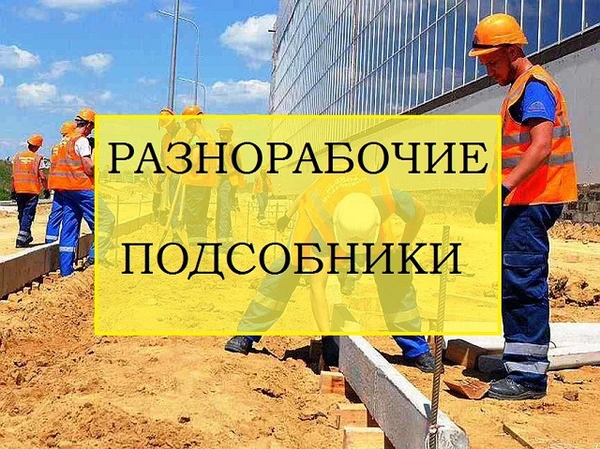 Фото Подсобники 