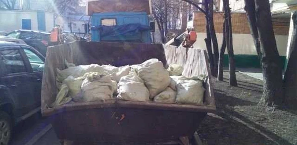 Фото Вывоз мусора Ивантеевка