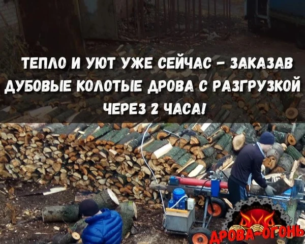 Фото Дрова сухие