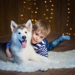 Фото №5 Семейный фотограф, фотостудия