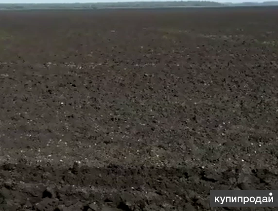 Земельный участок сельхозназначения 377 гектар