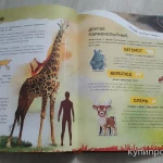 Фото №5 Книжка 4D