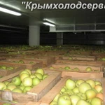 Фото №4 Монтаж овощехранилищ,фруктохранилищ в Крыму