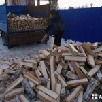 Фото №6 Дрова колотые