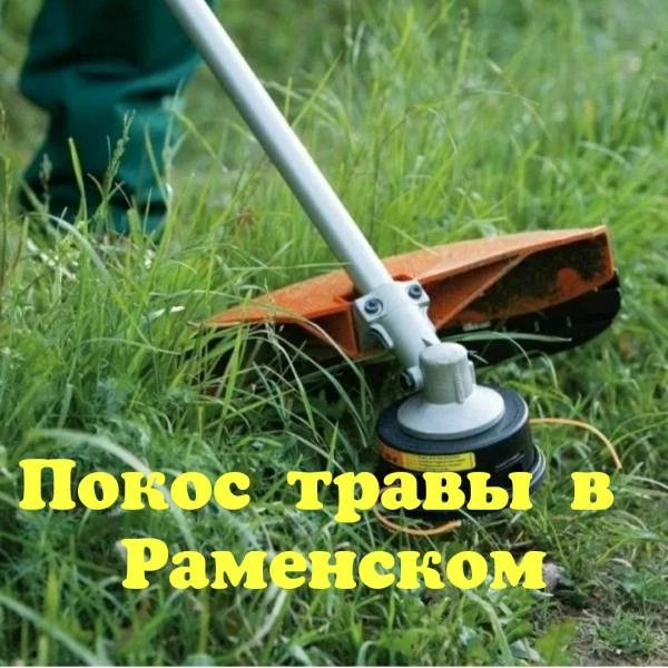 Фото Профессиональный покос травы