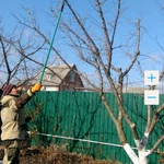 Профессиональная обрезка плодового сада ,кустарников, хвойников,  виноградника .ОПРЫСКИВАНИЕ.Посадка.Уход.Агроном.