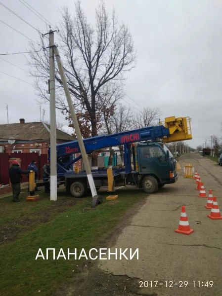 Фото Спил обрезка деревьев