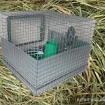 Фото №3 Брудер для цыплят