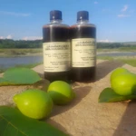 Фото №3 Сок грецкого ореха молочной спелости