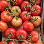 Фото №7 помидор