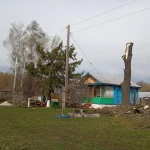 Фото №3 Спил деревьев.