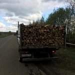 Фото №2 Дрова березовые колотые