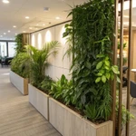 Фото №3 Озеленение офисов и помещений. Фитодизайн