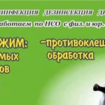 Уничтожим тараканов, клещей, клопов, мошек, мышей