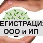 Регистрация ип и ооо