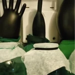 Фото №2 Винный гриб