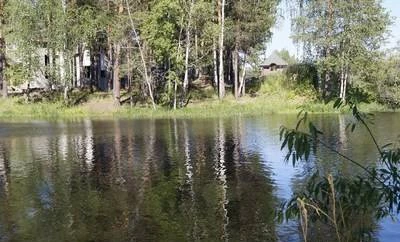 Фото Земля у водоема слесом тюмень