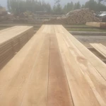 Фото №2 Лиственница, хвоя продажа оптом от производителя.