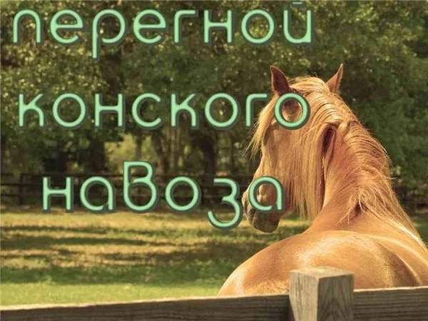 Фото Навоз конский в мешках ( перегной)
