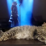 Фото №3 Котята