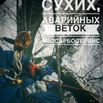 Фото №10 Удаление Обрезка деревьев, расчистка участка в Томилино