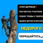Спил деревьев, Расчистка участков, Покос травы