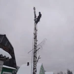 Фото №2 Валка, спил, уборка аварийных деревьев, веток.