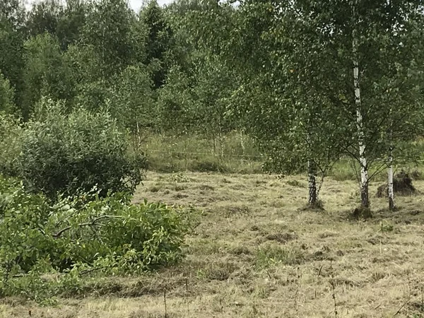 Фото Требуется вспашка участка