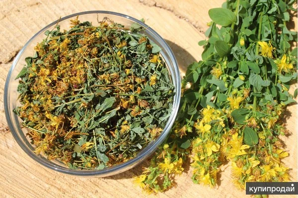 Фото Лекарственные травы, фиточаи и фитосборы