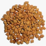 фото Пажитник семя