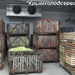 Фото №5 Монтаж овощехранилищ,фруктохранилищ в Крыму