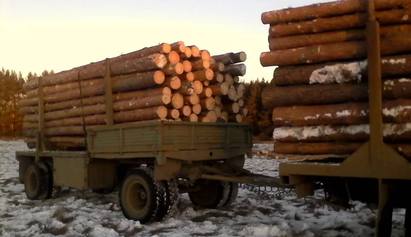 Фото Продаю пиловочник хвойный в Кургане