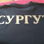 Фото №6 Машинная вышивка в Сургуте