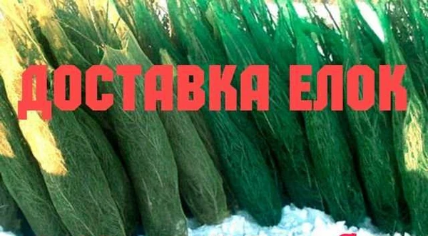 Фото Перевозка Ёлок. Будки от 15 до 120 кубов. Доставка