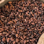 фото Какао бобы высший сорт