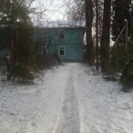 Фото №19 Расчистка спил участка в живописной Вырице. Фотоотчет. 