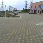 Фото №2 Укладка тротуарной плитки
