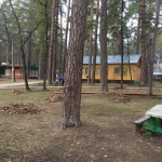 Фото №5 Благоустройство участков