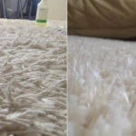 Стирка ковров с вывозом за 4-7 дней