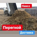 Фото №2 Чернозем, Перегной, Навоз, Торф, Земля