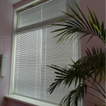 Фото №8 Горизонтальные жалюзи, Скидки в СПб