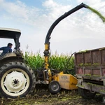 Фото №12 Кормоуборочный комбайн CHALLENGER - FJB GROUP LLC