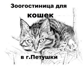 Фото Бюджетная зоогостиница для кошек в г. Петушки
