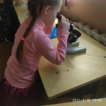 Фото №3 Игровой квест для детей 5-7 лет "Лаборатория Микромир"