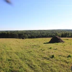 Фото №6 ⭕ЗЕМЛЯ 32,1га. ЛЕС, БОЛЬШОЙ РУЧЕЙ.