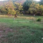 Фото №5 Лот  74765 Предлагаем к продаже просторный участок 10 соток на Северной