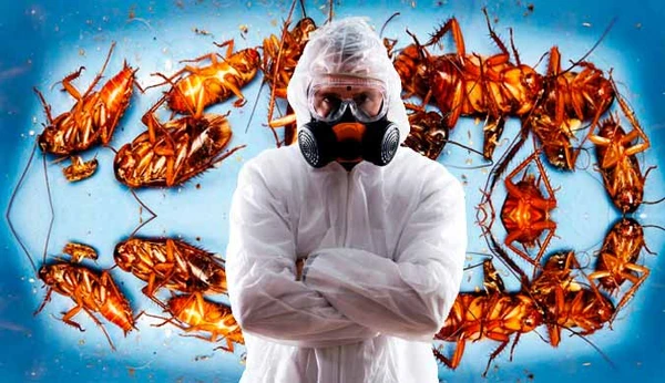 Фото УНИЧТОЖЕНИЕ НАСЕКОМЫХ