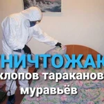 Уничтожение клопов тараканов муравьёв клещей Красн