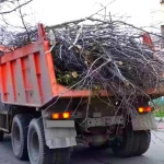 ВЫВОЗИМ ВЕТКИ И СТРОИТЕЛЬНЫЙ МУСОР ИЗ САДА.ЕКАТЕРИНБУРГ.