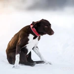 Фото №8 Красавица Токио. Если у девочки шанс?